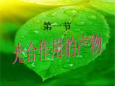 冀教版八年级上册 生物 课件 3.3.1 光合作用的产物