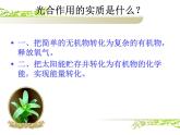 冀教版八年级上册 生物 课件 3.3.1 光合作用的产物
