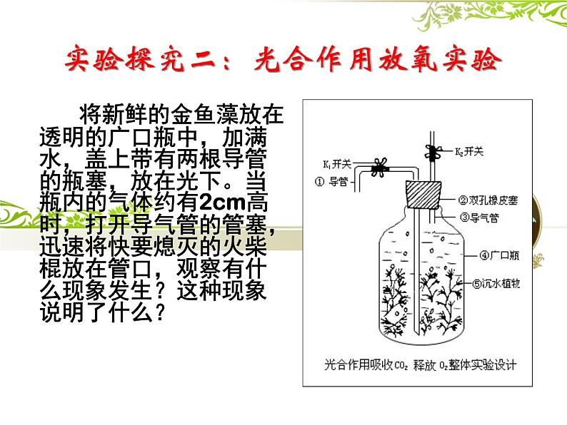 冀教版八年级上册 生物 课件 3.3.1 光合作用的产物07