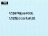 冀教版八年级上册 生物 课件 第三单元第一章 种子的萌发和芽的发育 复习课件