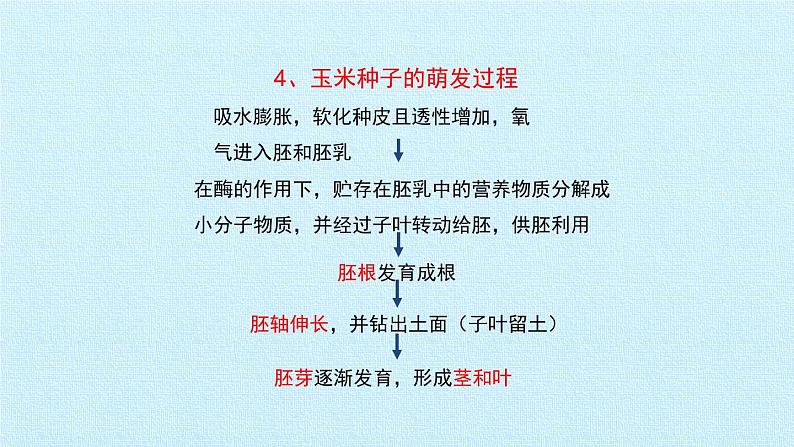 冀教版八年级上册 生物 课件 第三单元第一章 种子的萌发和芽的发育 复习课件06