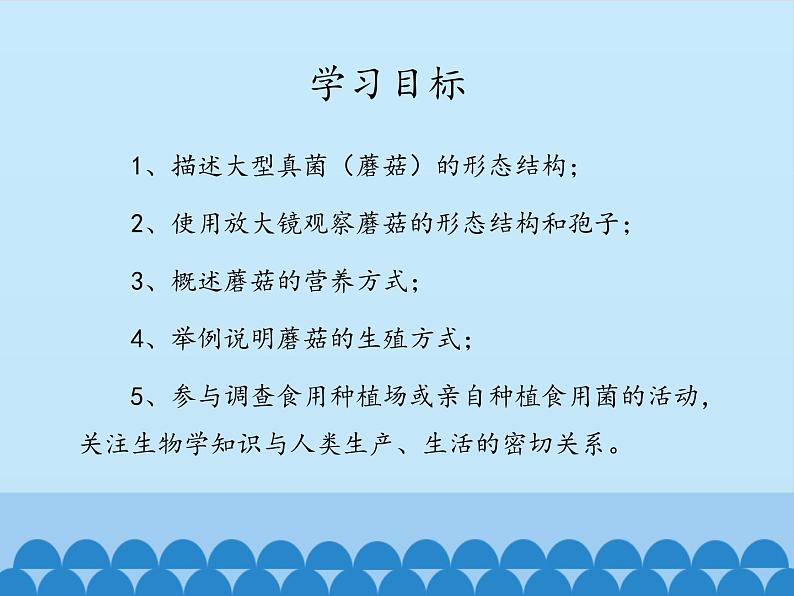 冀教版八年级上册 生物 课件 5.2.2 食用真菌03