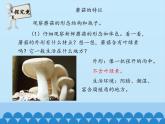 冀教版八年级上册 生物 课件 5.2.2 食用真菌