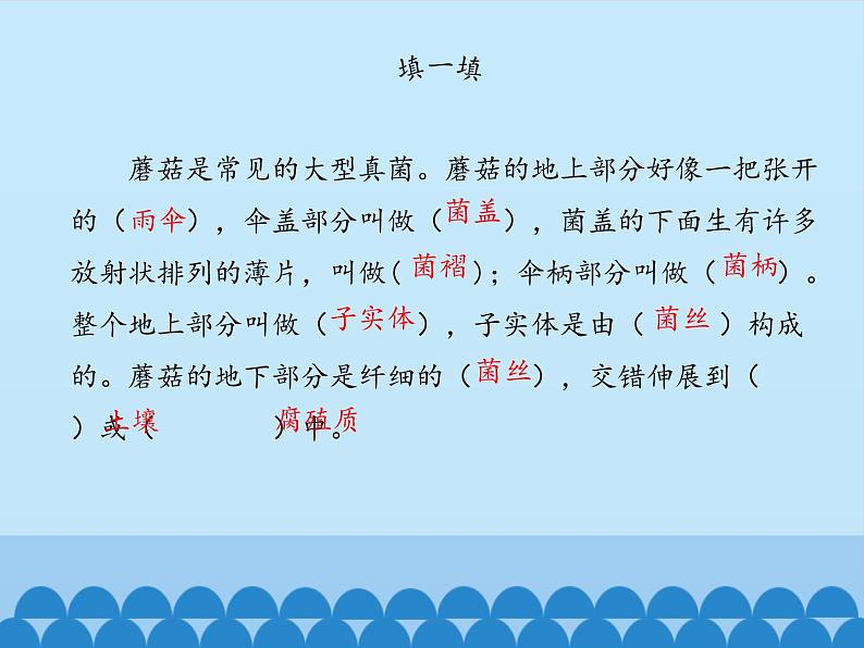 冀教版八年级上册 生物 课件 5.2.2 食用真菌07