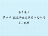 冀教版八年级上册 生物 课件 第五单元第四章 微生物在生物圈中的作用 复习课件