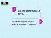 冀教版八年级上册 生物 课件 第五单元第四章 微生物在生物圈中的作用 复习课件