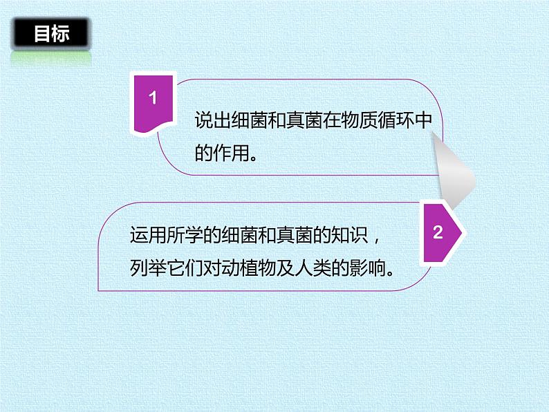 冀教版八年级上册 生物 课件 第五单元第四章 微生物在生物圈中的作用 复习课件02