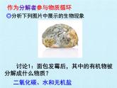 冀教版八年级上册 生物 课件 第五单元第四章 微生物在生物圈中的作用 复习课件