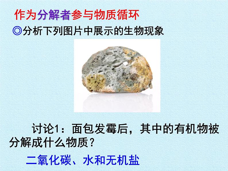 冀教版八年级上册 生物 课件 第五单元第四章 微生物在生物圈中的作用 复习课件03