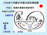 冀教版八年级上册 生物 课件 第五单元第四章 微生物在生物圈中的作用 复习课件