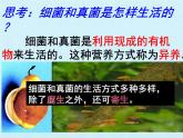冀教版八年级上册 生物 课件 第五单元第四章 微生物在生物圈中的作用 复习课件