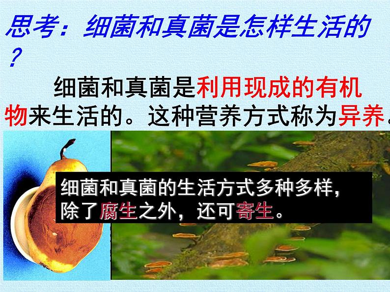 冀教版八年级上册 生物 课件 第五单元第四章 微生物在生物圈中的作用 复习课件05