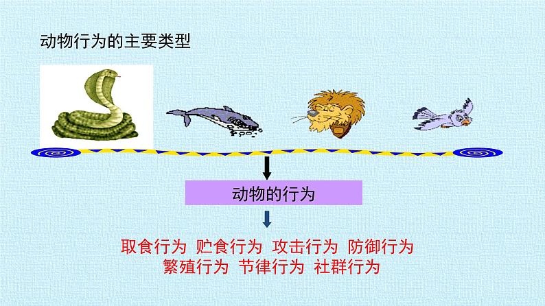 冀教版八年级上册 生物 课件 第四单元第二章 动物的行为 复习课件第8页