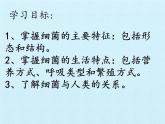 冀教版八年级上册 生物 课件 第五单元第一章 细菌和病毒 复习课件