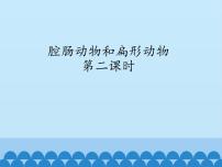 冀教版七年级上册第二节  腔肠动物和扁形动物教学演示ppt课件