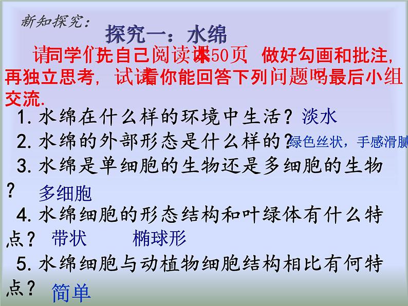 冀教版七年级上册 生物 课件 1.3.3 藻类植物第5页