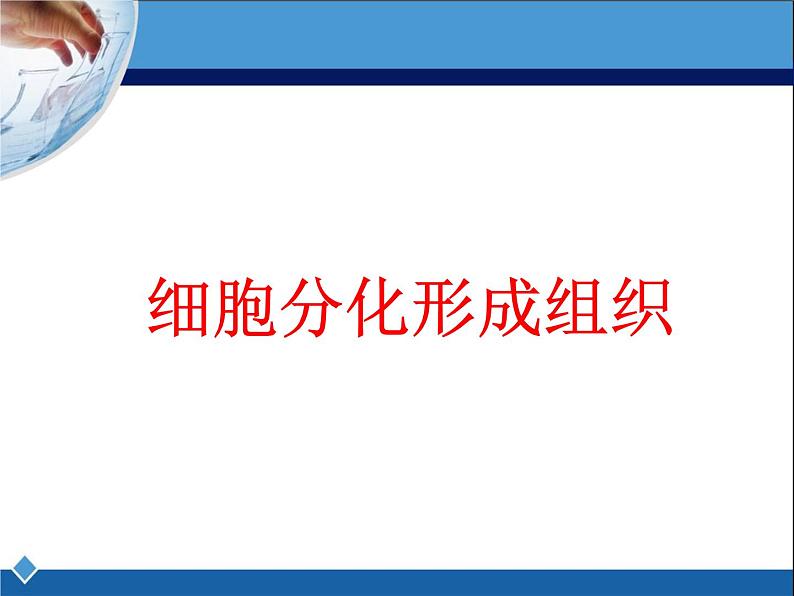 冀教版七年级上册 生物 课件 1.2.2 细胞分化形成组织第1页