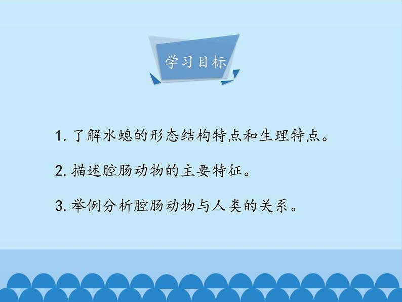 冀教版七年级上册 生物 课件 1.4.2腔肠动物和扁形动物-第一课时04