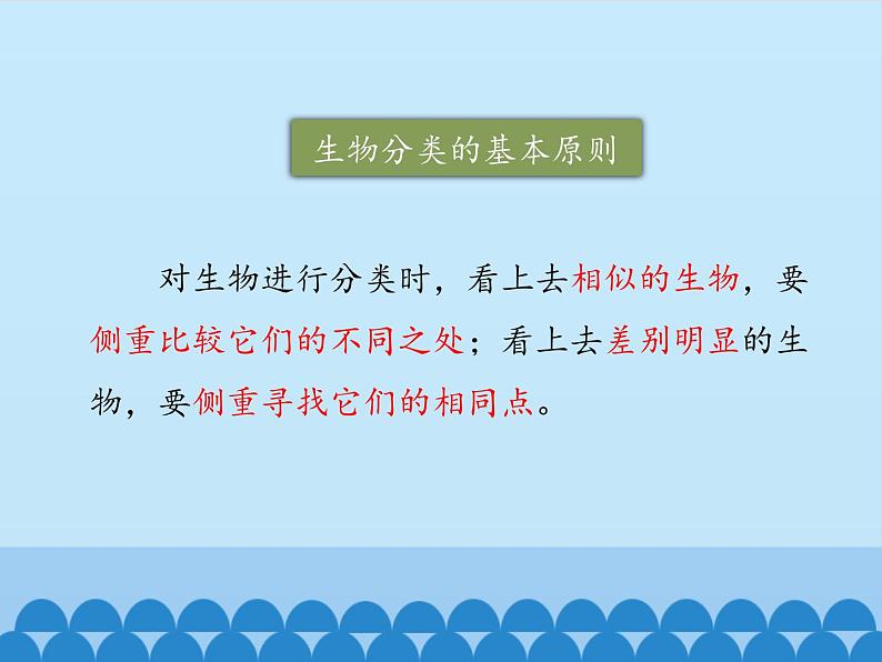 冀教版七年级上册 生物 课件 1.5.1 尝试对生物进行分类第6页