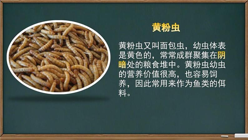 冀教版七年级上册 生物 课件 1.1.4《学习探究》01