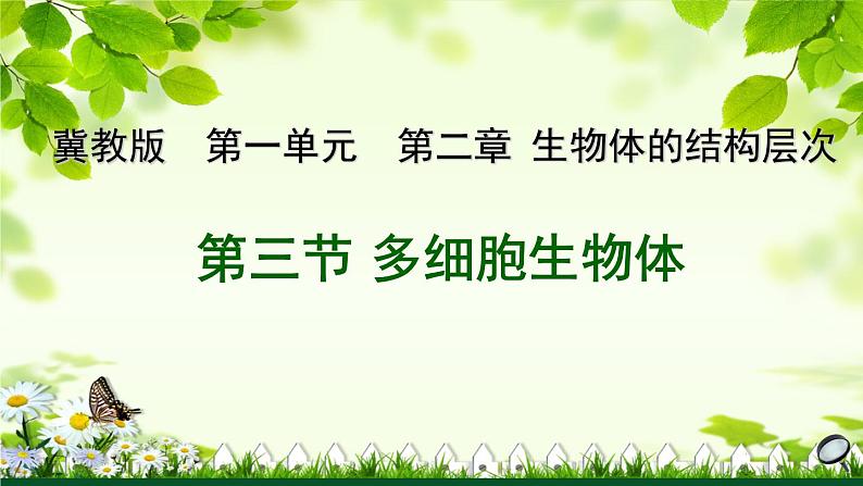冀教版七年级上册 生物 课件 1.2.3《多细胞生物体》01