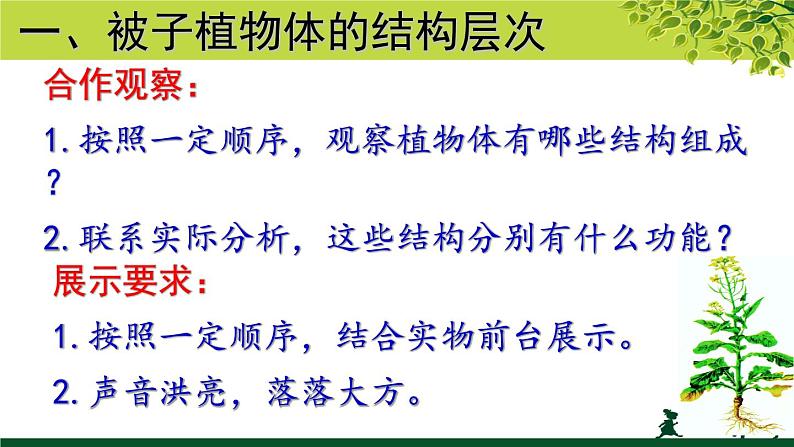 冀教版七年级上册 生物 课件 1.2.3《多细胞生物体》02