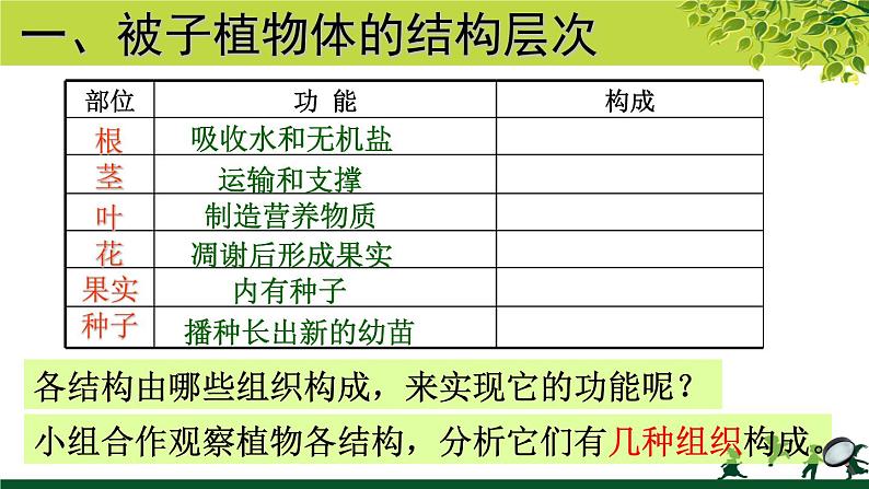 冀教版七年级上册 生物 课件 1.2.3《多细胞生物体》04