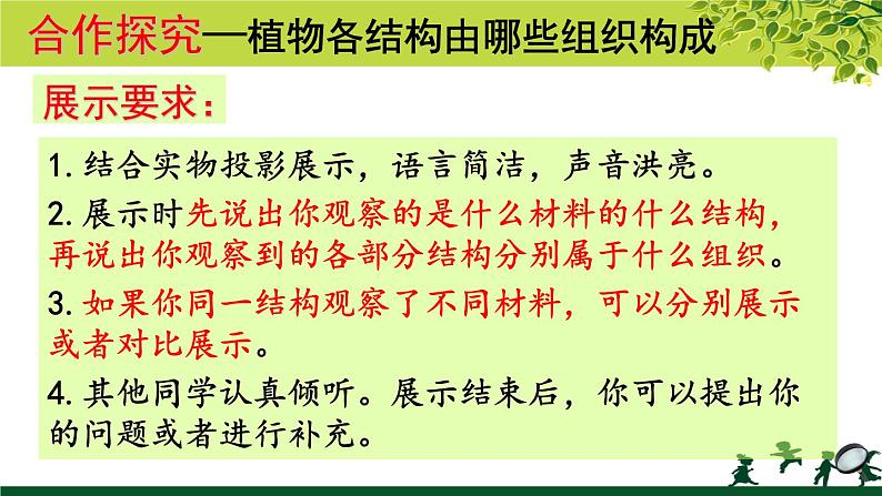 冀教版七年级上册 生物 课件 1.2.3《多细胞生物体》06