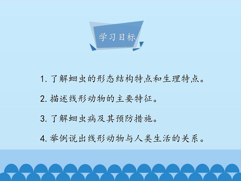 冀教版七年级上册 生物 课件 1.4.3线形动物和环节动物-第一课时04