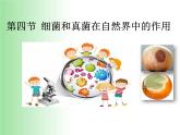 5.4.4 细菌和真菌在自然界中的作用  课件  2021-2022学年人教版八年级生物上册
