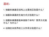 5.4.4 细菌和真菌在自然界中的作用  课件  2021-2022学年人教版八年级生物上册