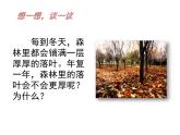 5.4.4 细菌和真菌在自然界中的作用  课件  2021-2022学年人教版八年级生物上册