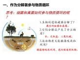 5.4.4 细菌和真菌在自然界中的作用  课件  2021-2022学年人教版八年级生物上册