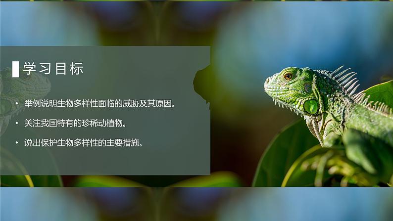 第六章 第三节 保护生物的多样性 课件2021--2022学年人教版八年级上册03