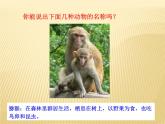 5.1.7哺乳动物 课件2021--2022学年人教版生物八年级上册