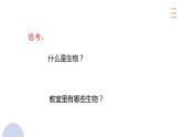 _1.1.1 生物的特征 课件2021--2022学年人教版生物  七年级上册