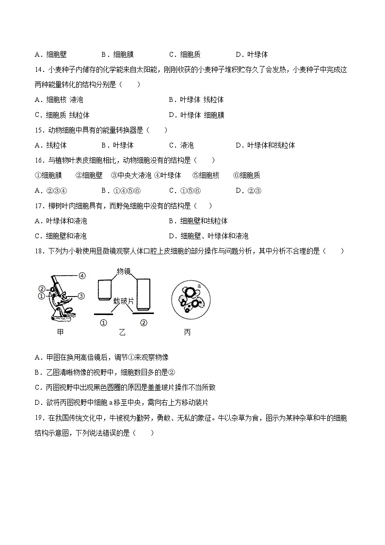 安徽省滁州市定远县育才学校2021-2022学年七年级上学期第一次月考生物【试卷+答案】第3页