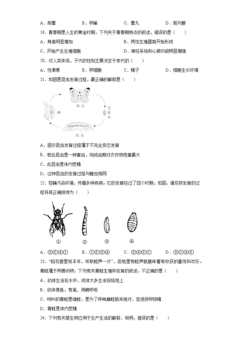广东省揭阳市普宁市2020-2021学年八年级上学期期末生物试题（word版含答案）03