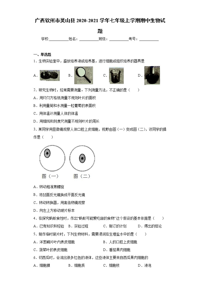 广西钦州市灵山县2020-2021学年七年级上学期期中生物试题（word版含答案）01