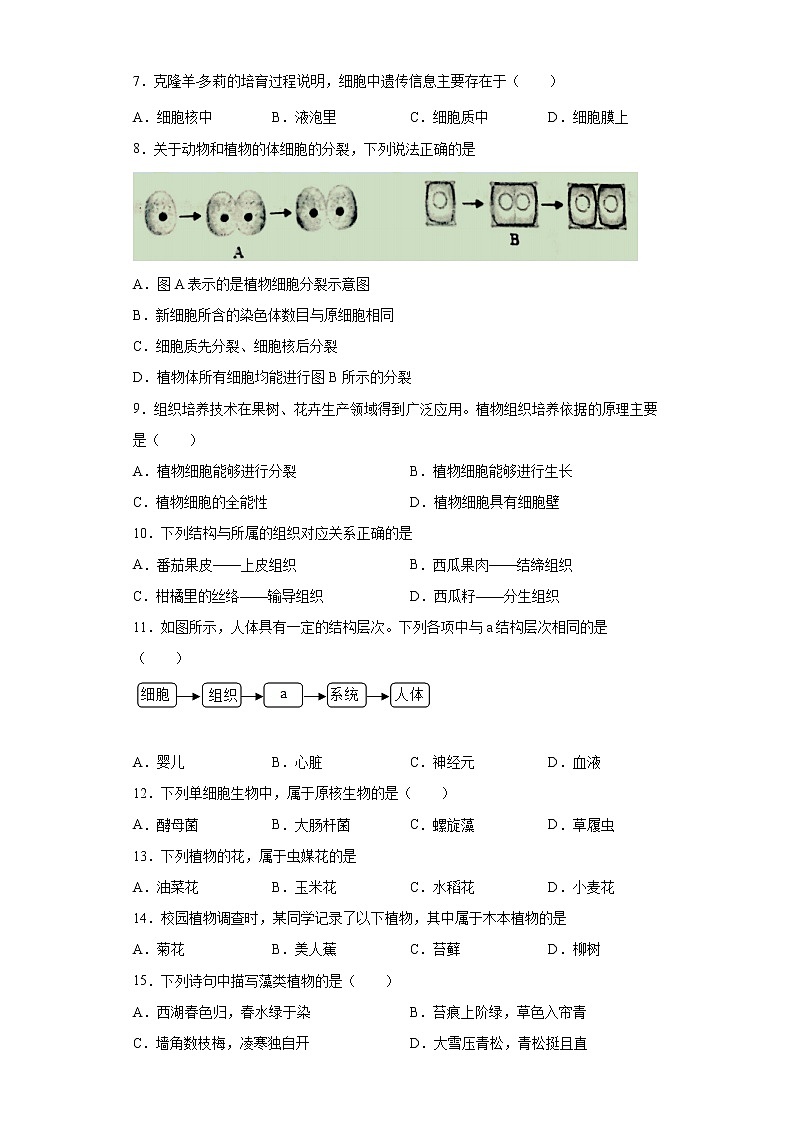 广西钦州市灵山县2020-2021学年七年级上学期期中生物试题（word版含答案）02