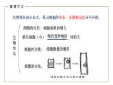 （人教版）初中生物七年级上册同步教学2..2.1 细胞通过分裂产生新细胞 （课件）