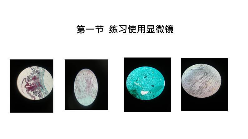 （人教版）初中生物七年级上册同步教学2.1.1 练习使用显微镜 （课件）01