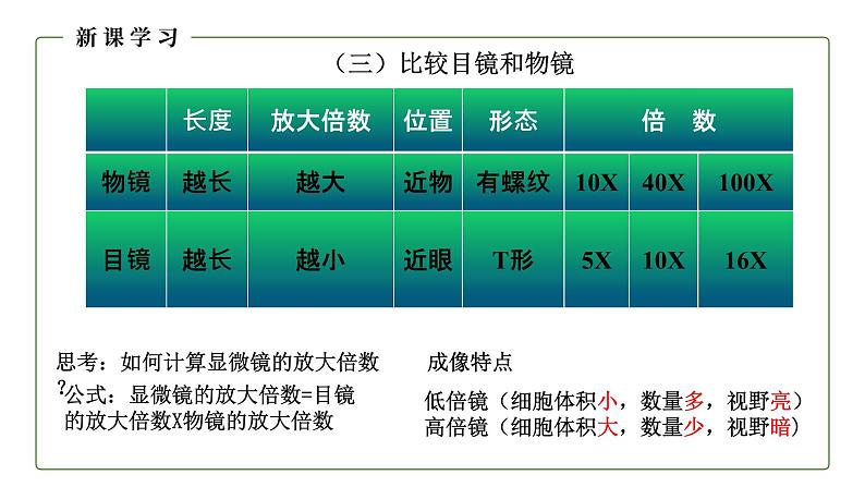 （人教版）初中生物七年级上册同步教学2.1.1 练习使用显微镜 （课件）08