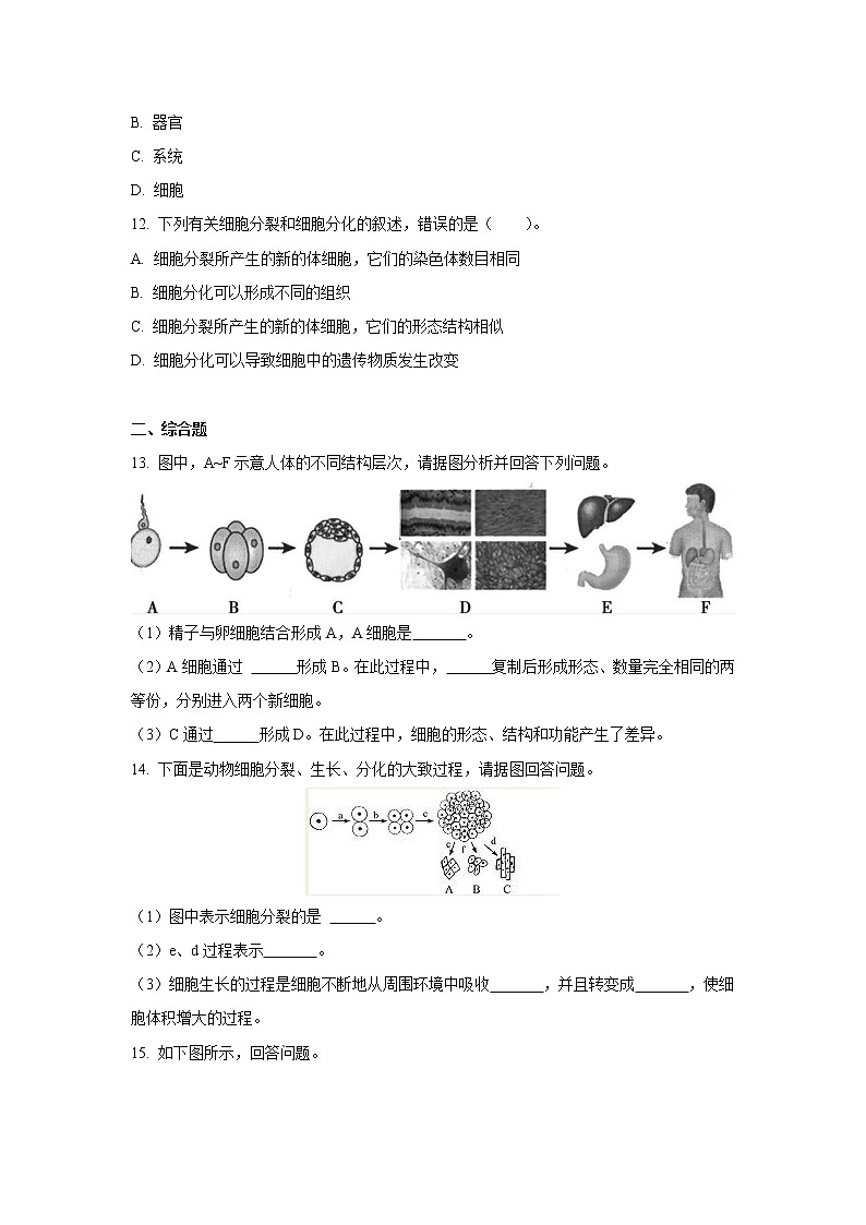 （人教版）初中生物七年级上册同步教学2.2.2 动物体的结构层次 （习题）03