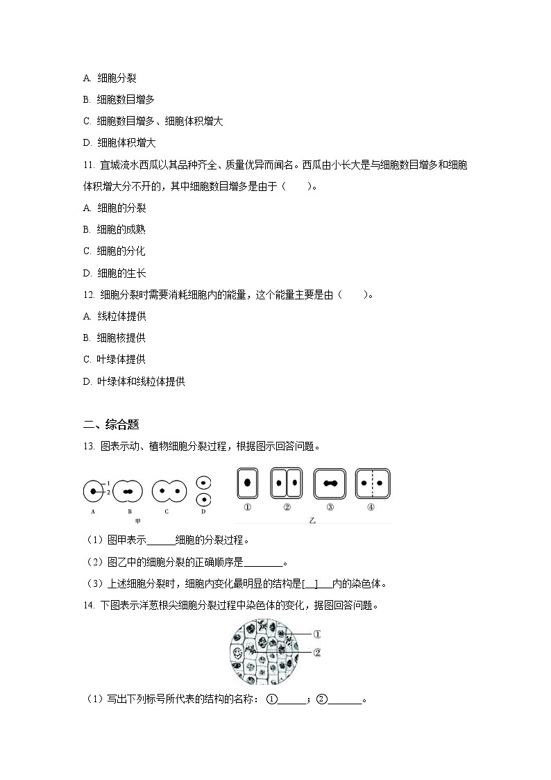 （人教版）初中生物七年级上册同步教学2..2.1 细胞通过分裂产生新细胞 （习题）03