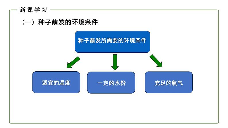 （人教版）初中生物七年级上册同步教学3.2.1 种子的萌发 （课件）05