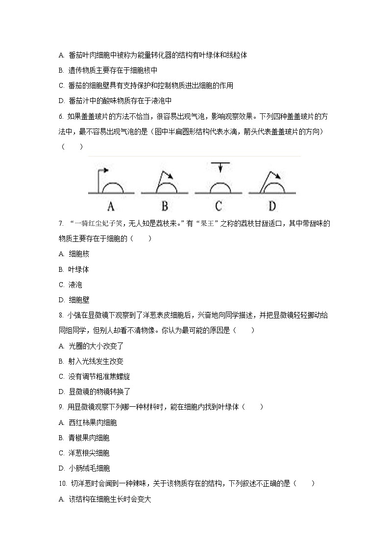 （人教版）初中生物七年级上册同步教学2.1.2 植物细胞 （习题）02