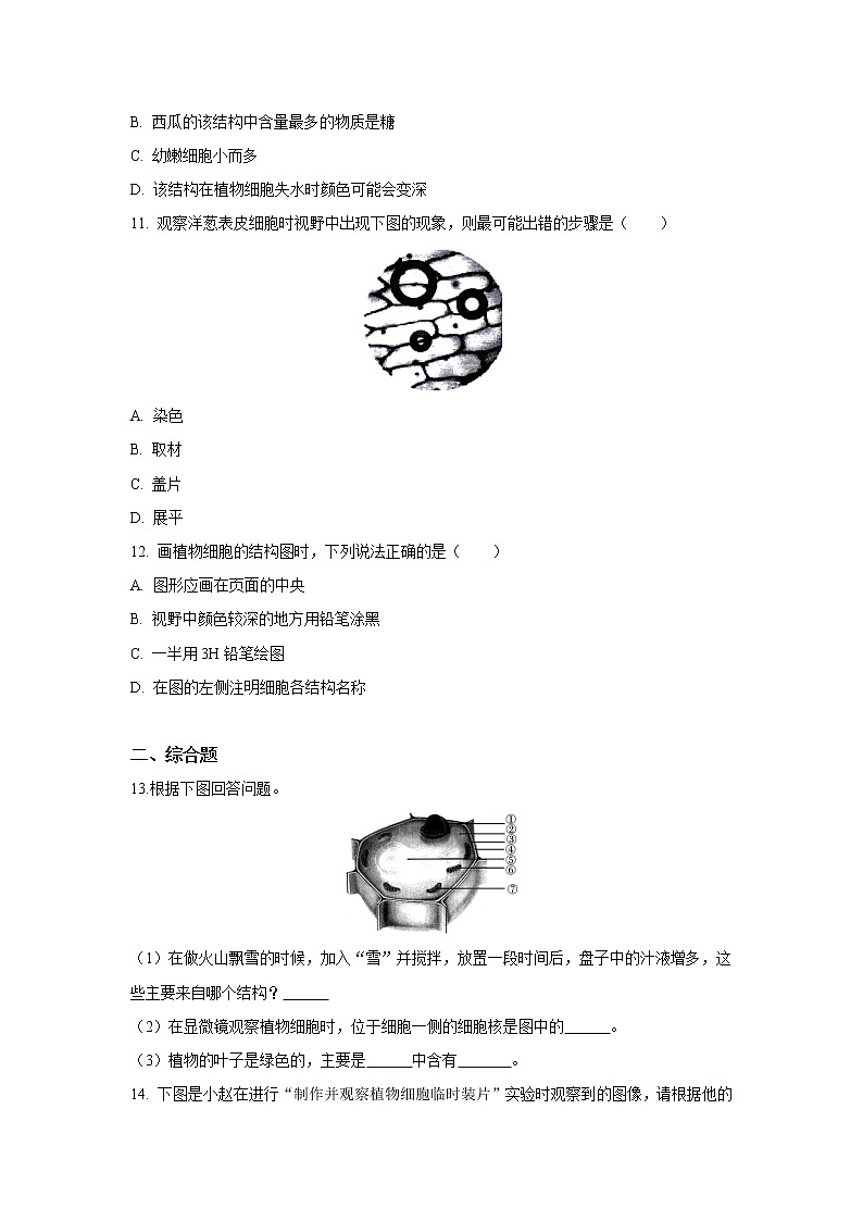 （人教版）初中生物七年级上册同步教学2.1.2 植物细胞 （习题）03
