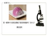 （人教版）初中生物七年級上冊同步教學(xué)2.1.2 植物細(xì)胞 （課件）