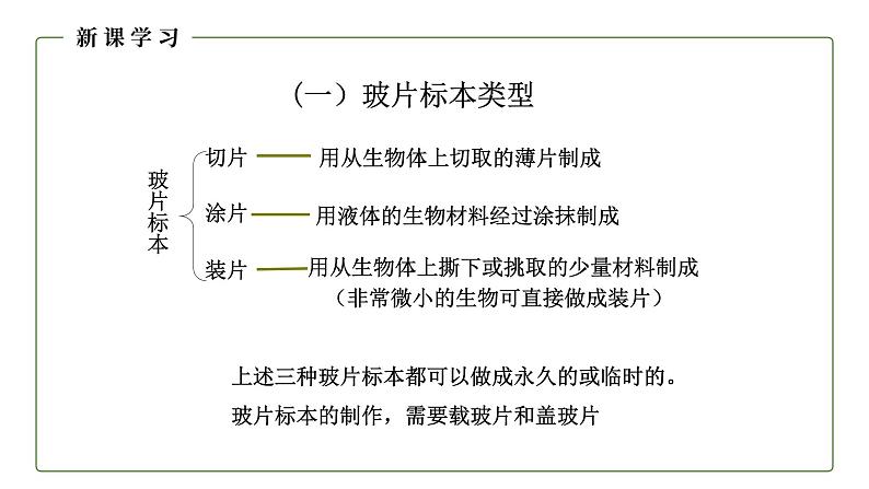 （人教版）初中生物七年级上册同步教学2.1.2 植物细胞 （课件）第4页